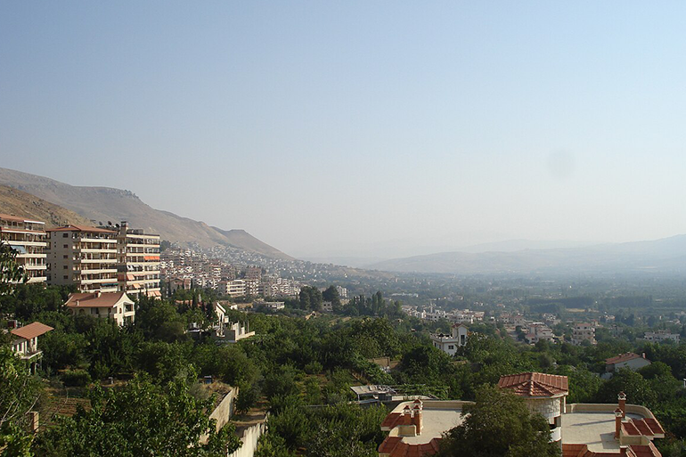 الزبداني